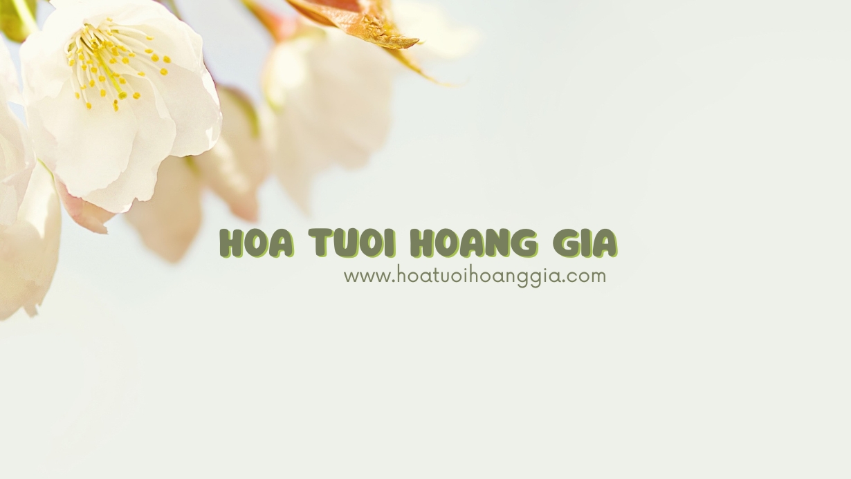 banner-hoa-hoang-gia-com